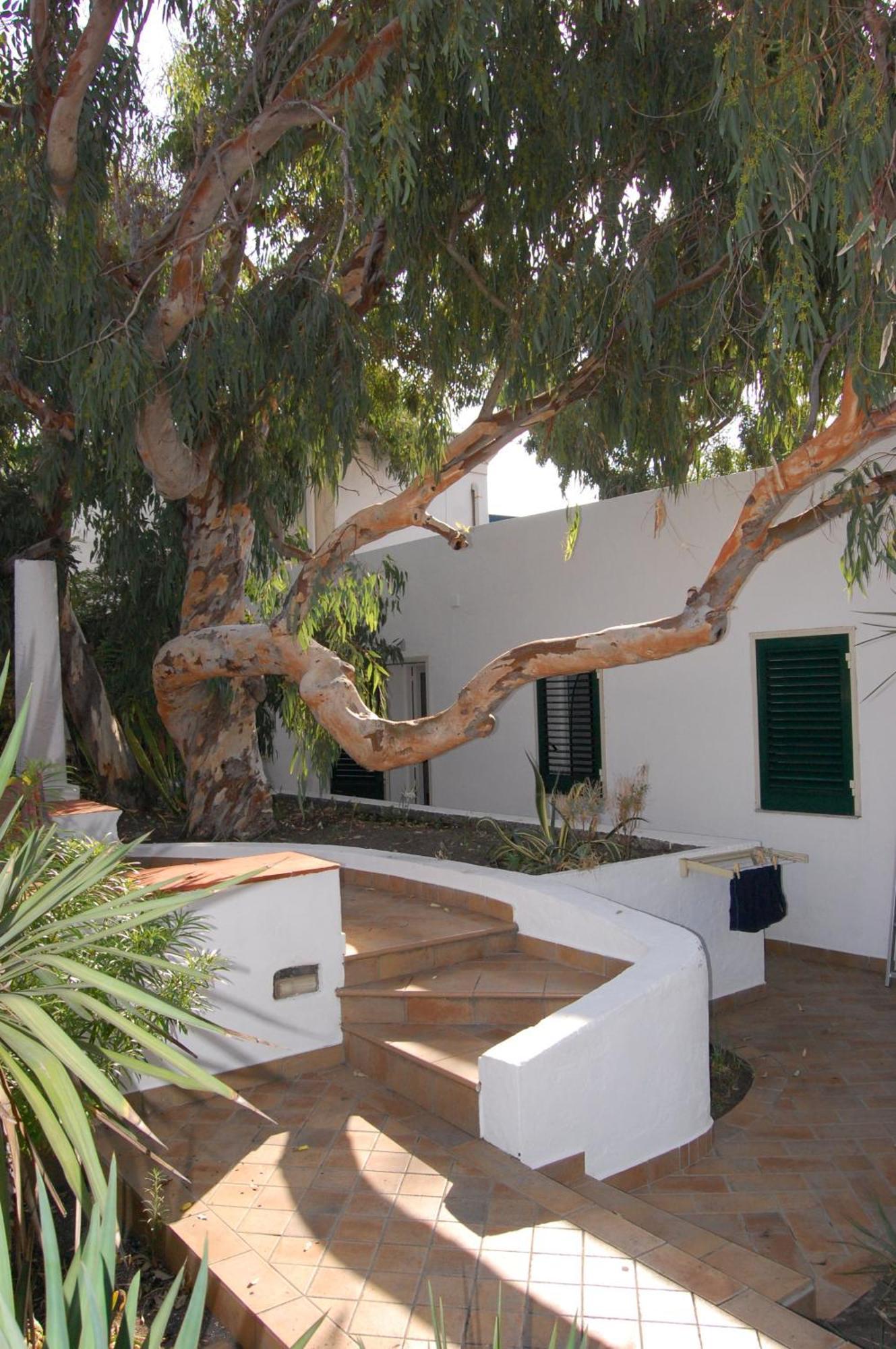 Hotel Conti Vulcano  Eksteriør billede